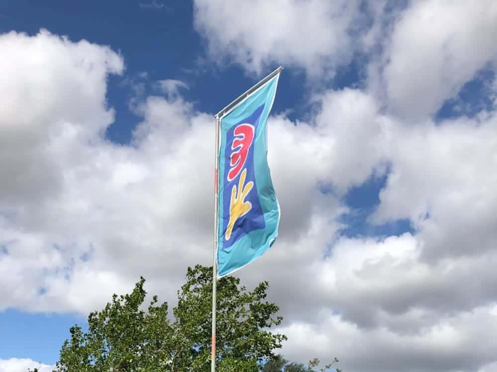Festival flags