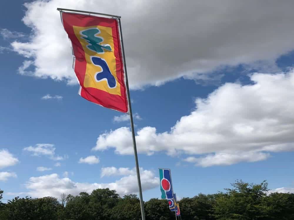 Festival Flag